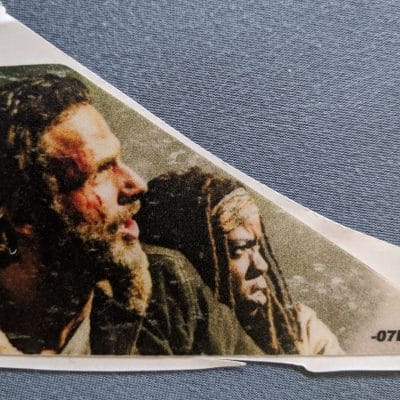 Walking Dead decal