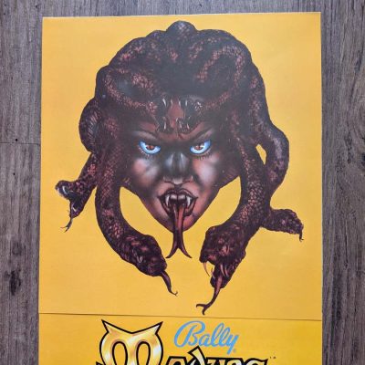 Medusa flyer