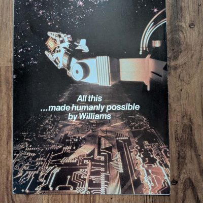 Pin Bot flyer